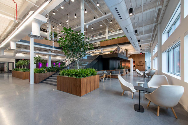 Insight Enterprises HQ — Custom Corporate Terrazzo