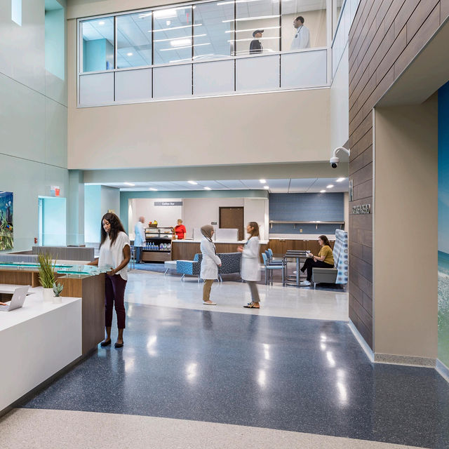 James A. Haley Veterans' Hospital — High-Performance Healthcare Floor